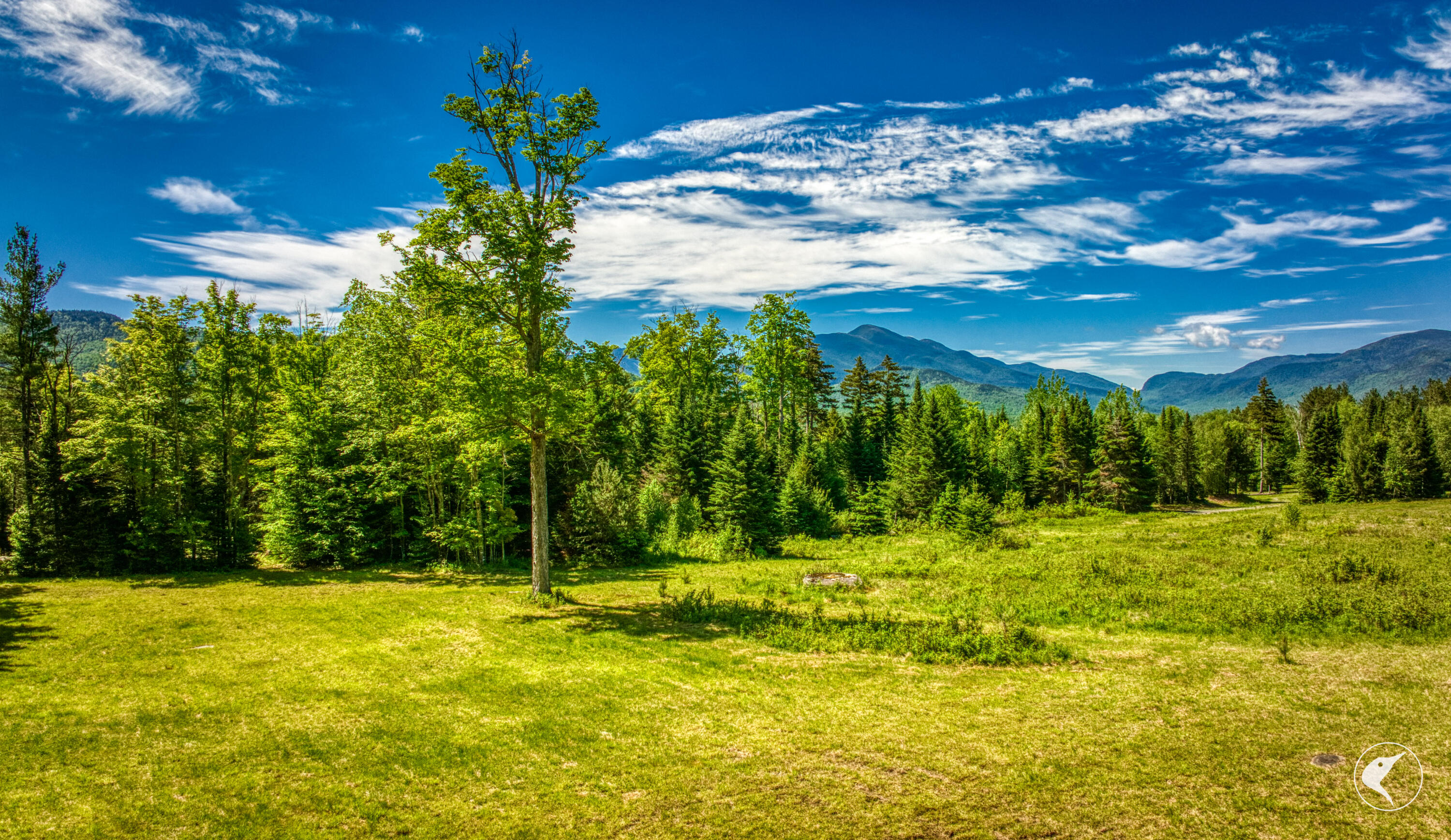 8 Upper Trail Lake Placid NY 12946