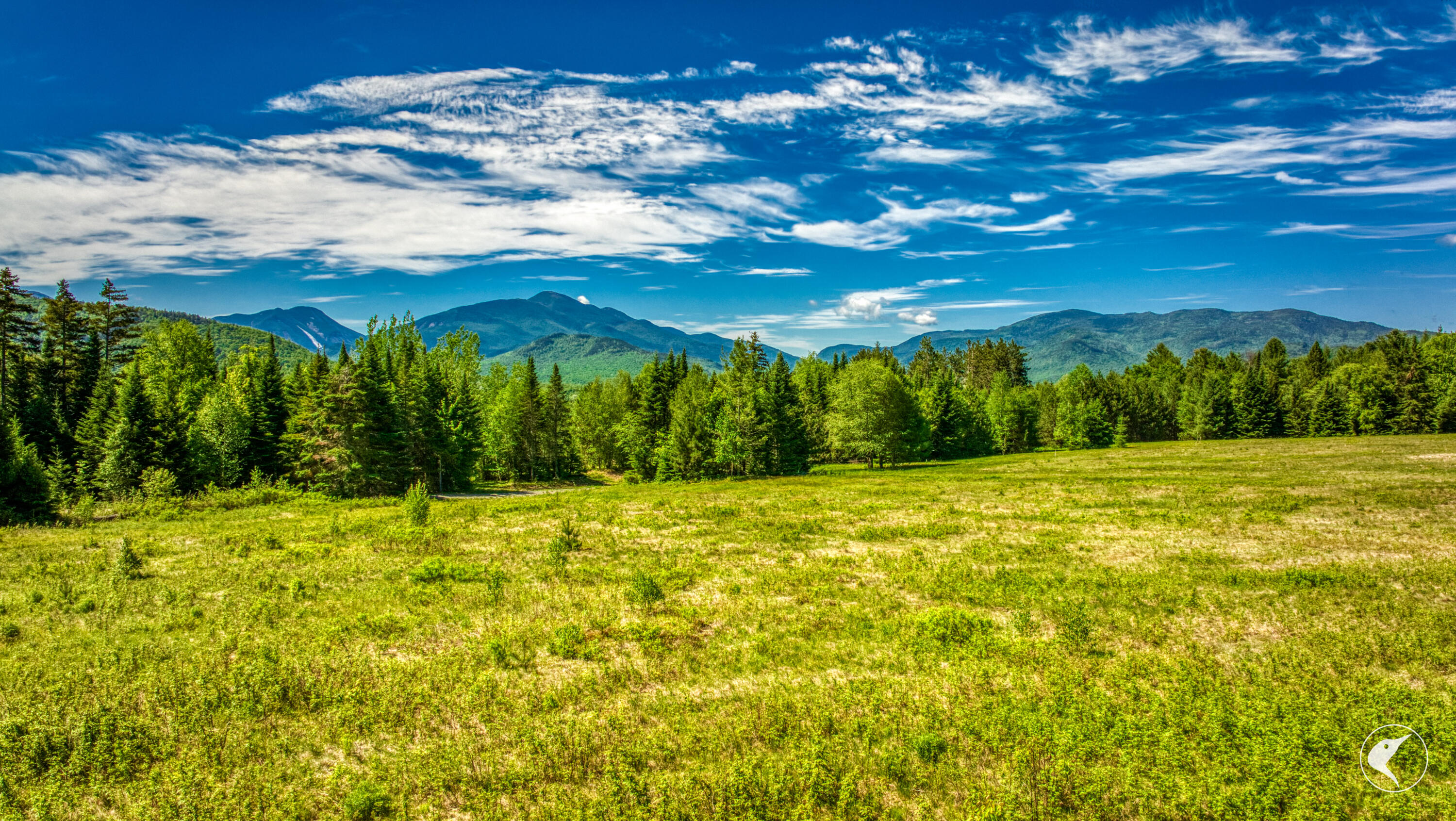 8 Upper Trail Lake Placid NY 12946