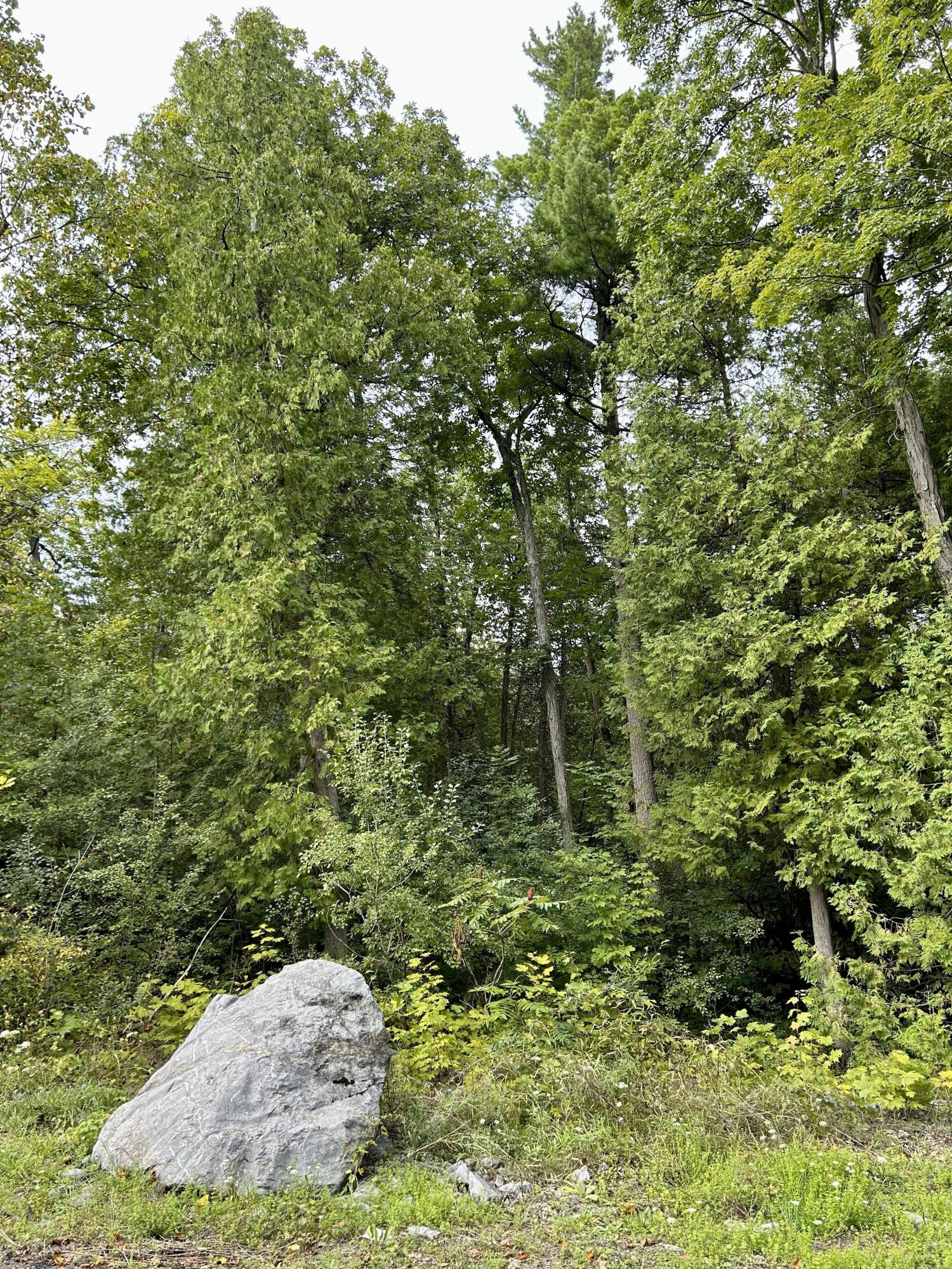 0 Bluff Point Dr Lot 45 Plattsburgh NY 12901
