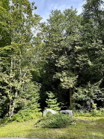 0 Bluff Point Dr Lot 45 Plattsburgh NY 12901