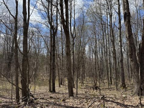 0 French Settlement Road Malone NY 12953
