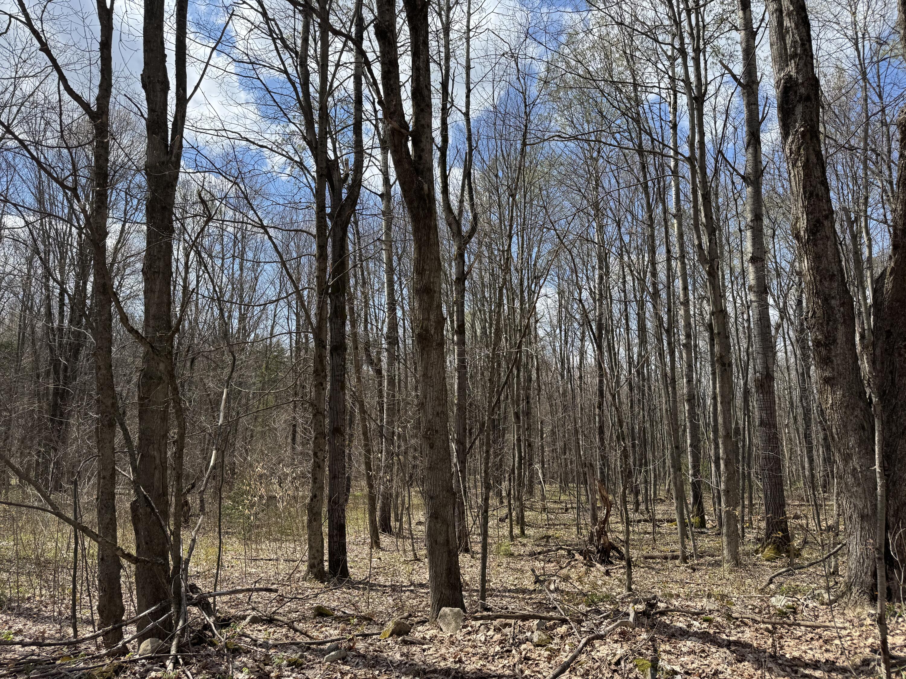 0 French Settlement Road Malone NY 12953