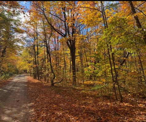 0 French Settlement Road Malone NY 12953