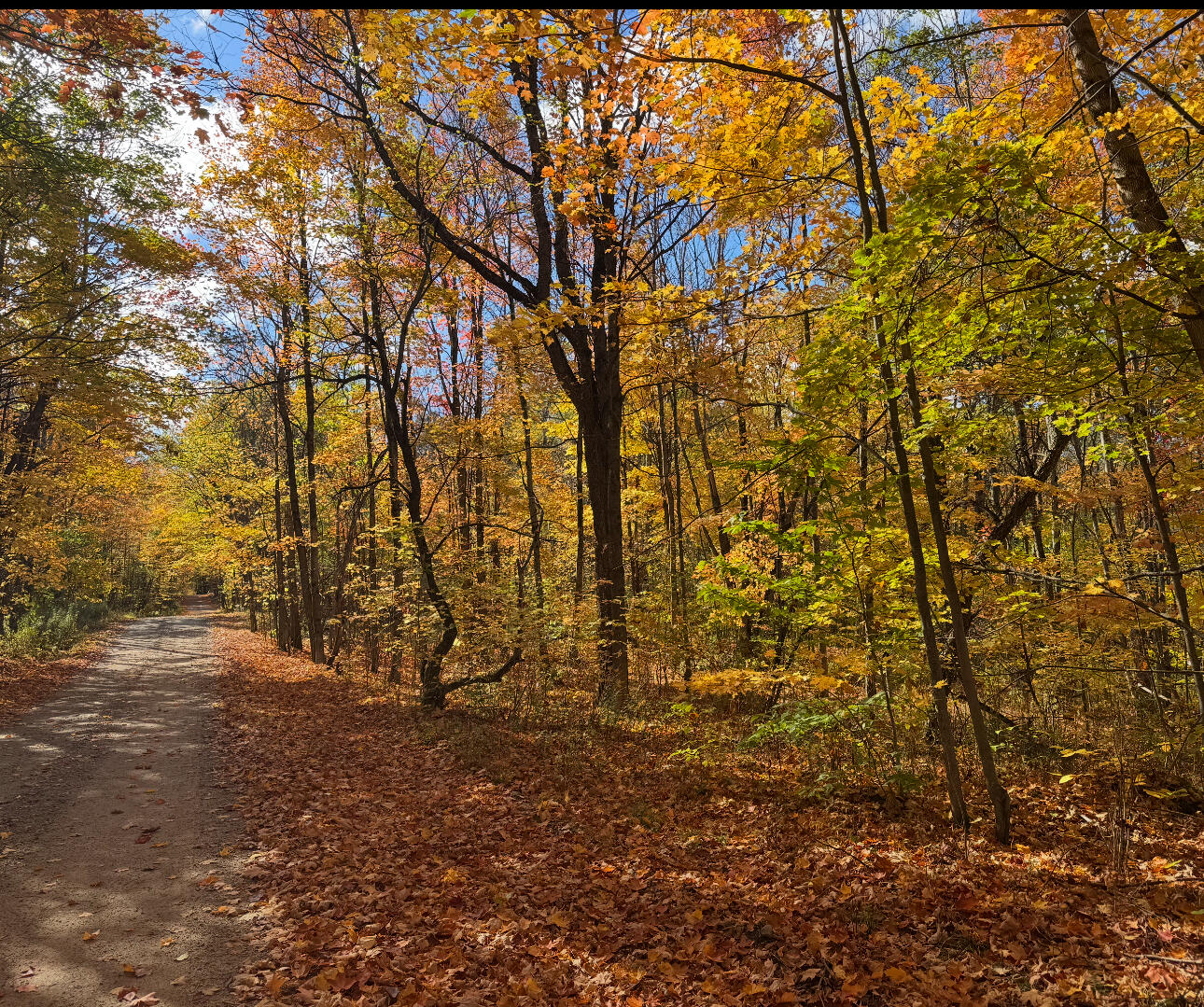 0 French Settlement Road Malone NY 12953
