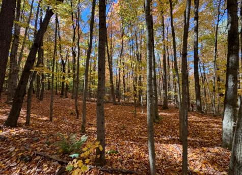 0 French Settlement Road Malone NY 12953