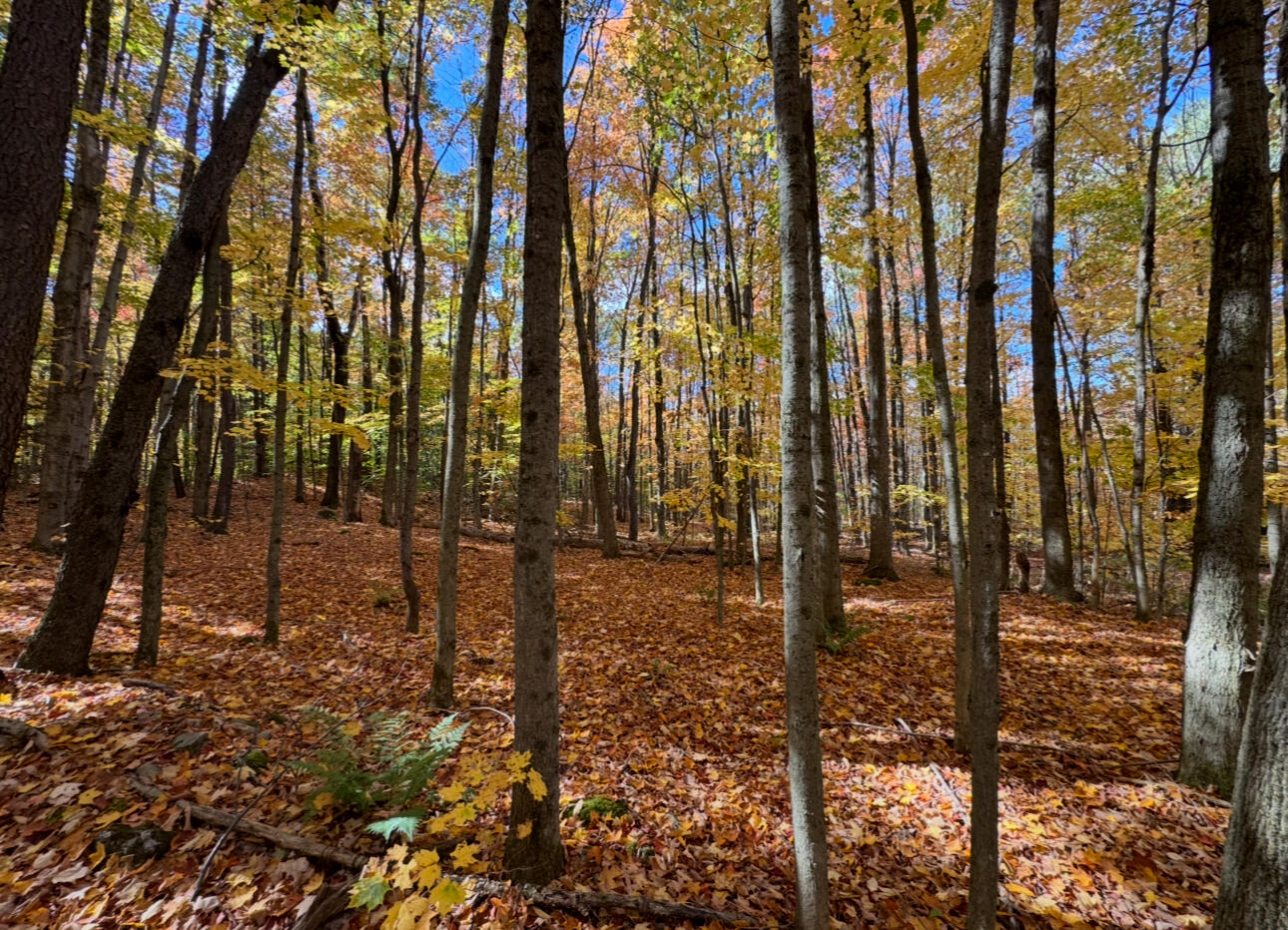 0 French Settlement Road Malone NY 12953