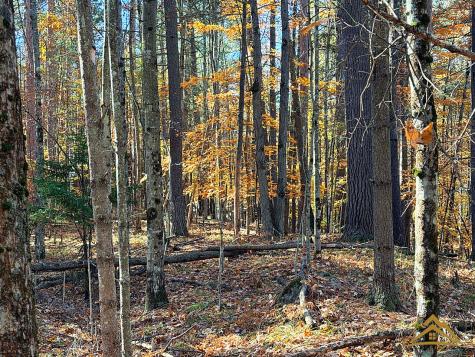 0 Evergreen Lane Jay NY 12941