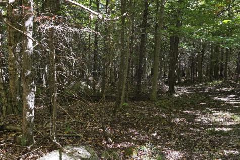Lot 4 Whiteface Mount Memorial Highway Wilmington NY 12997