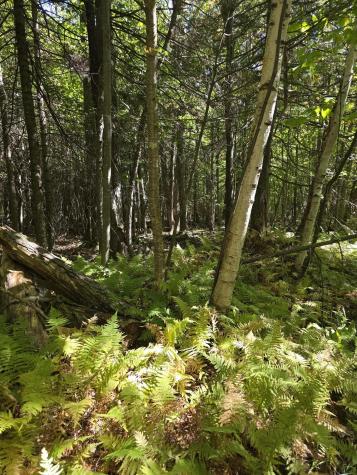 Lot 4 Whiteface Mount Memorial Highway Wilmington NY 12997