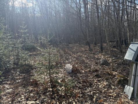 549 Ore Bed Road Schuyler Falls NY 12985