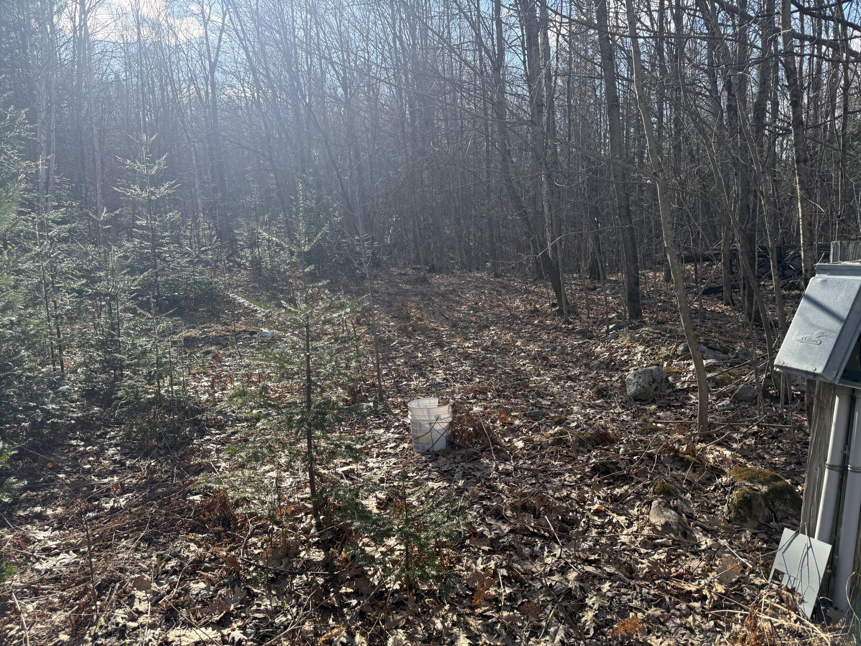 549 Ore Bed Road Schuyler Falls NY 12985