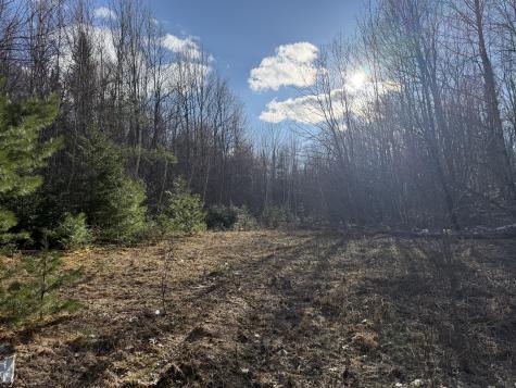 549 Ore Bed Road Schuyler Falls NY 12985