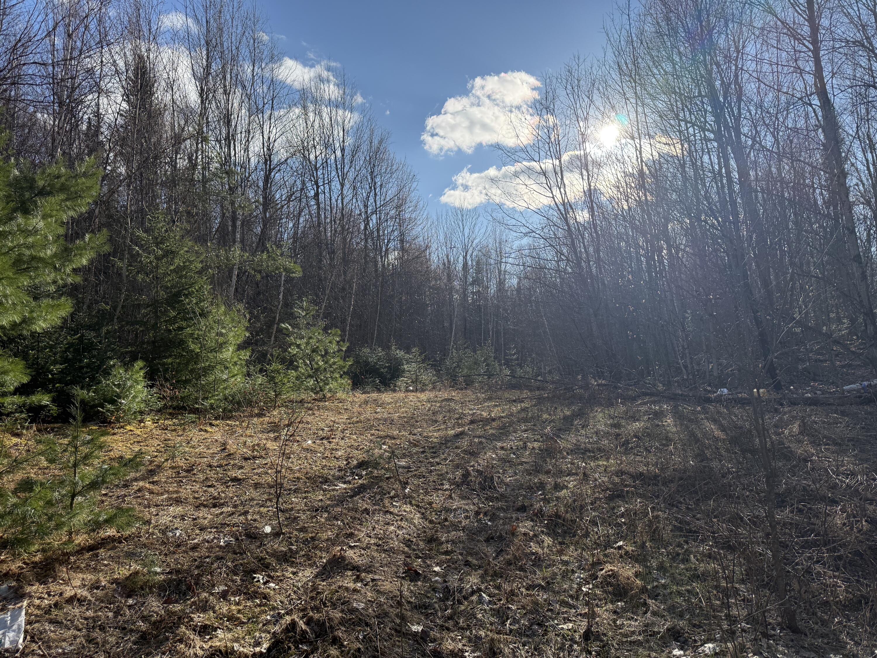 549 Ore Bed Road Schuyler Falls NY 12985