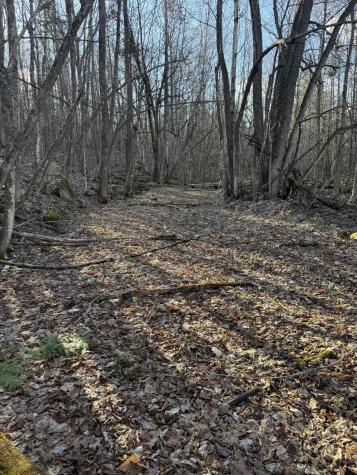 549 Ore Bed Road Schuyler Falls NY 12985