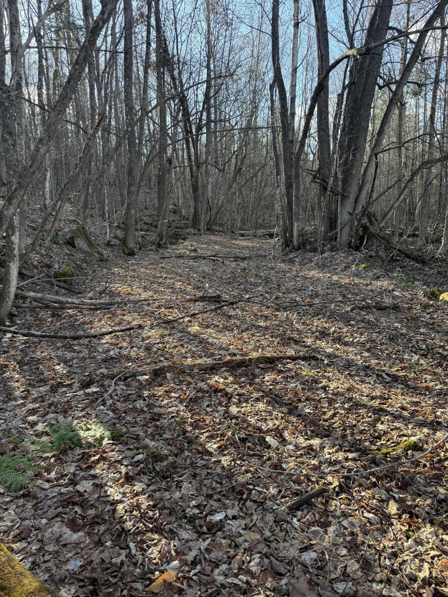 549 Ore Bed Road Schuyler Falls NY 12985