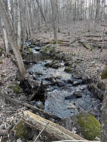 549 Ore Bed Road Schuyler Falls NY 12985