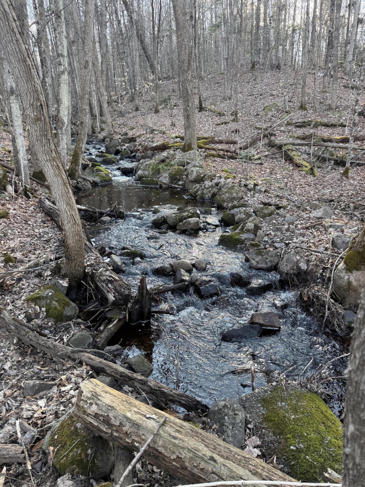 549 Ore Bed Road Schuyler Falls NY 12985