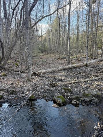 549 Ore Bed Road Schuyler Falls NY 12985