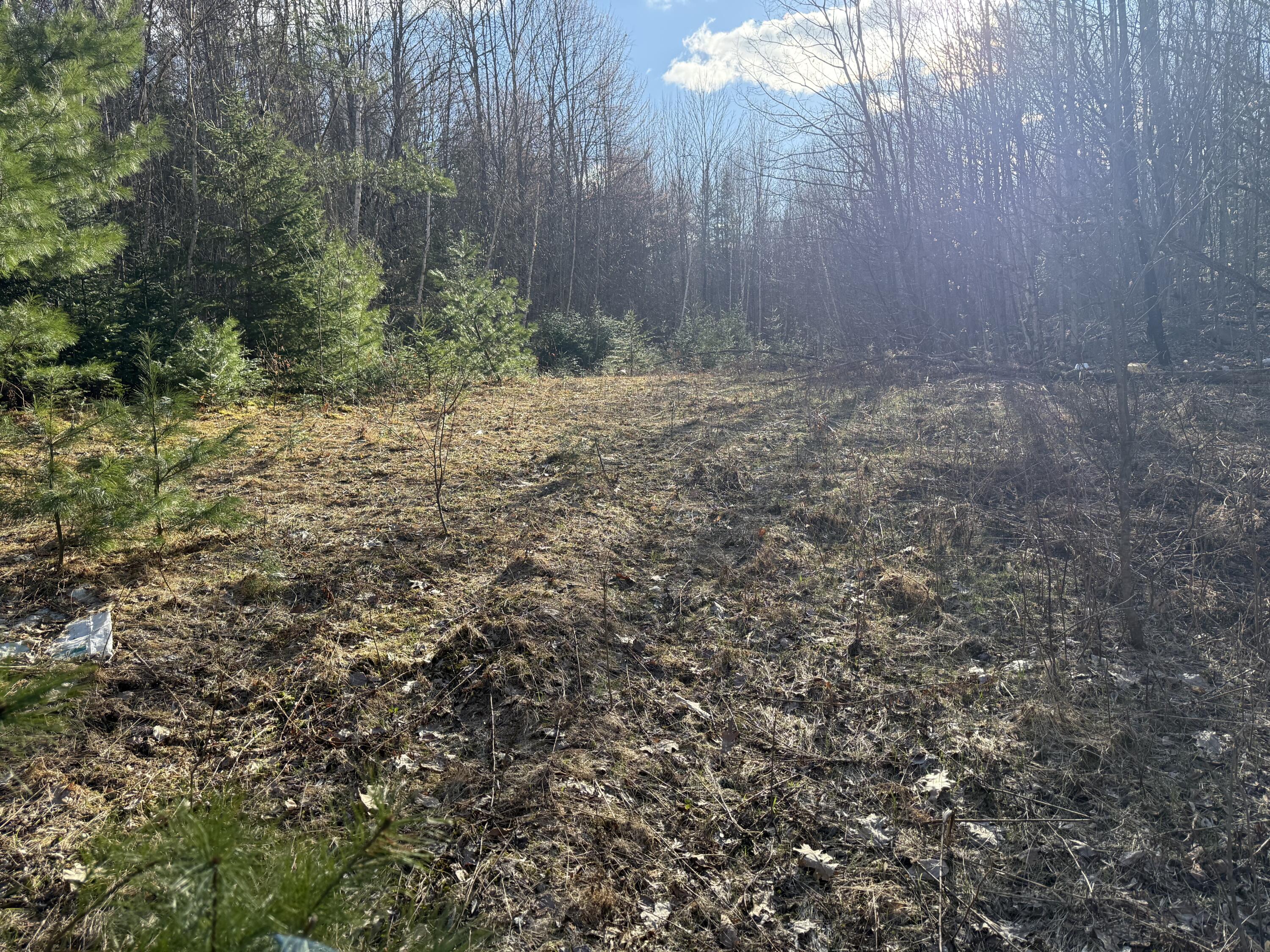 549 Ore Bed Road Schuyler Falls NY 12985