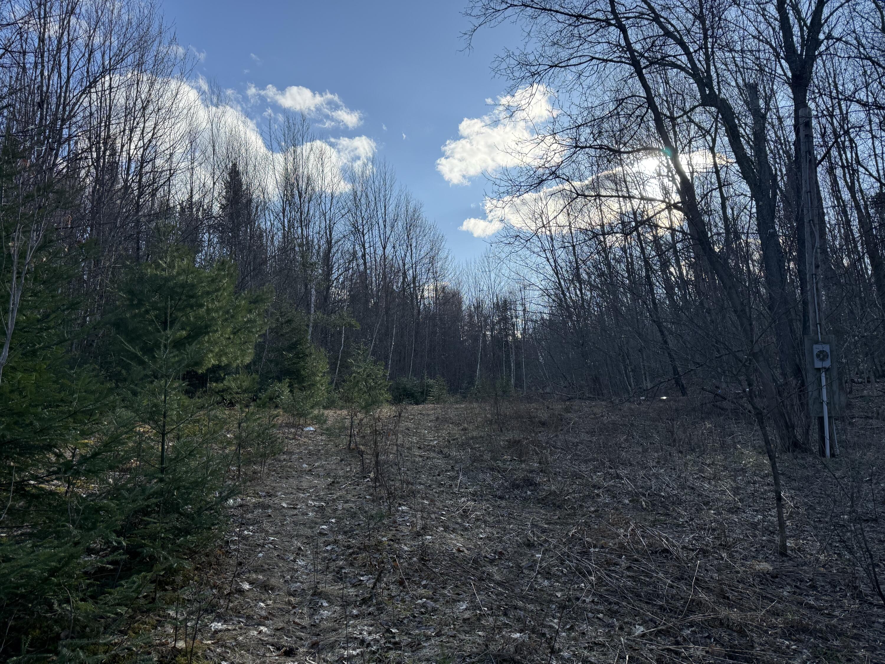 549 Ore Bed Road Schuyler Falls NY 12985