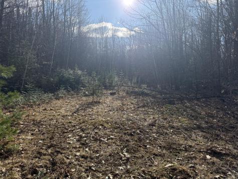 549 Ore Bed Road Schuyler Falls NY 12985