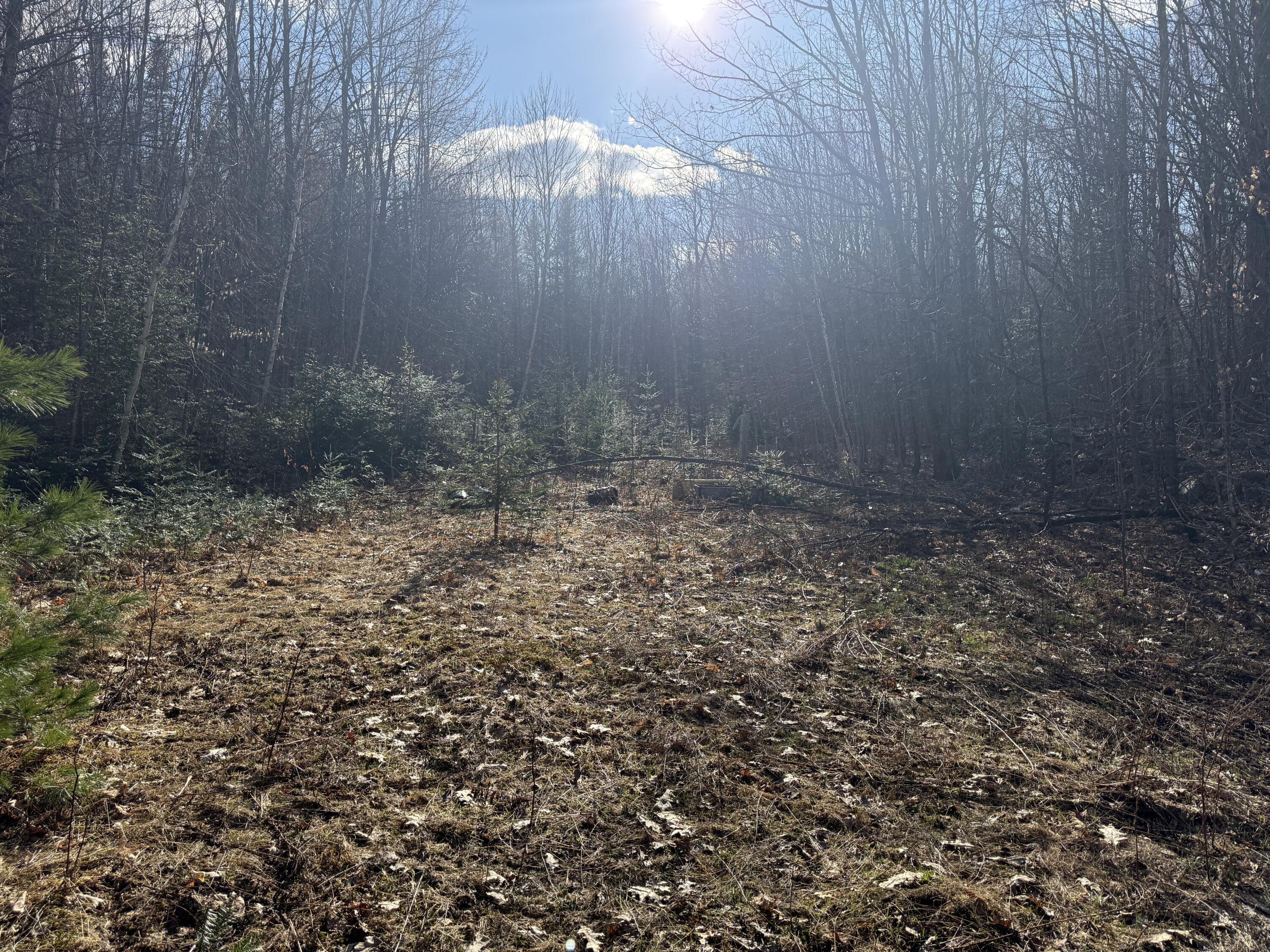 549 Ore Bed Road Schuyler Falls NY 12985