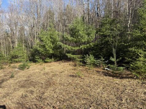 549 Ore Bed Road Schuyler Falls NY 12985