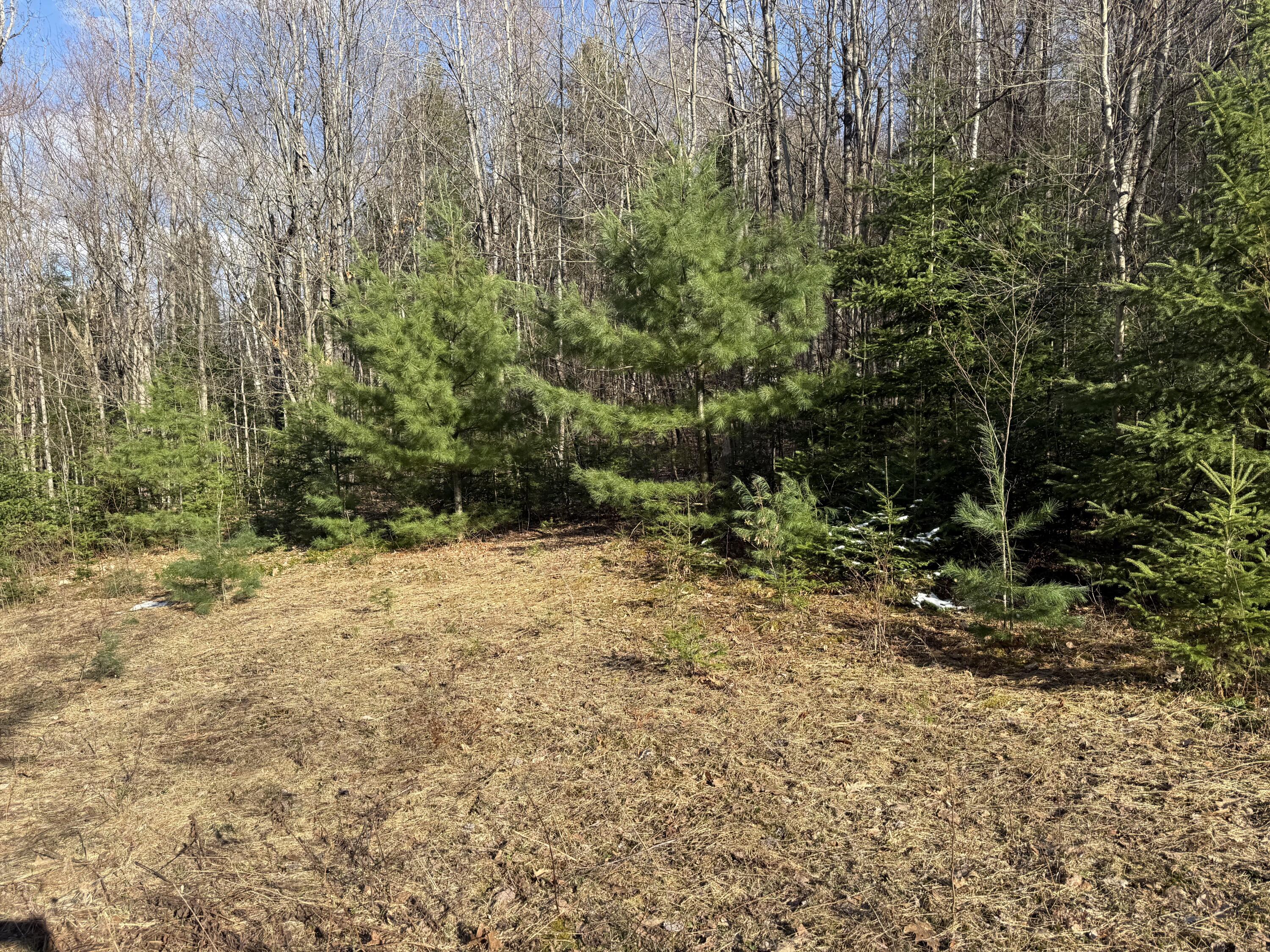 549 Ore Bed Road Schuyler Falls NY 12985