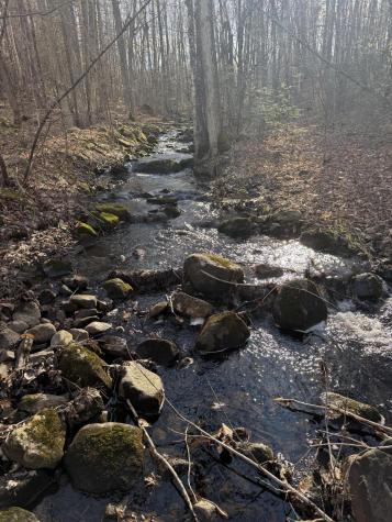 549 Ore Bed Road Schuyler Falls NY 12985
