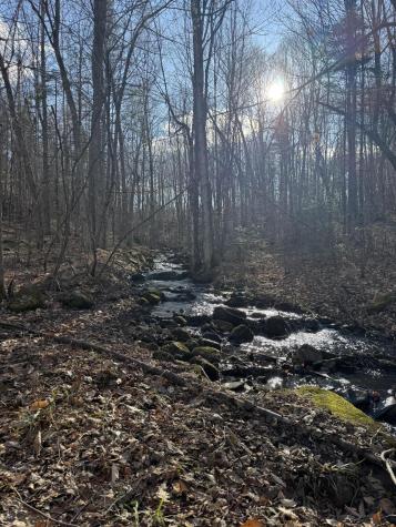 549 Ore Bed Road Schuyler Falls NY 12985