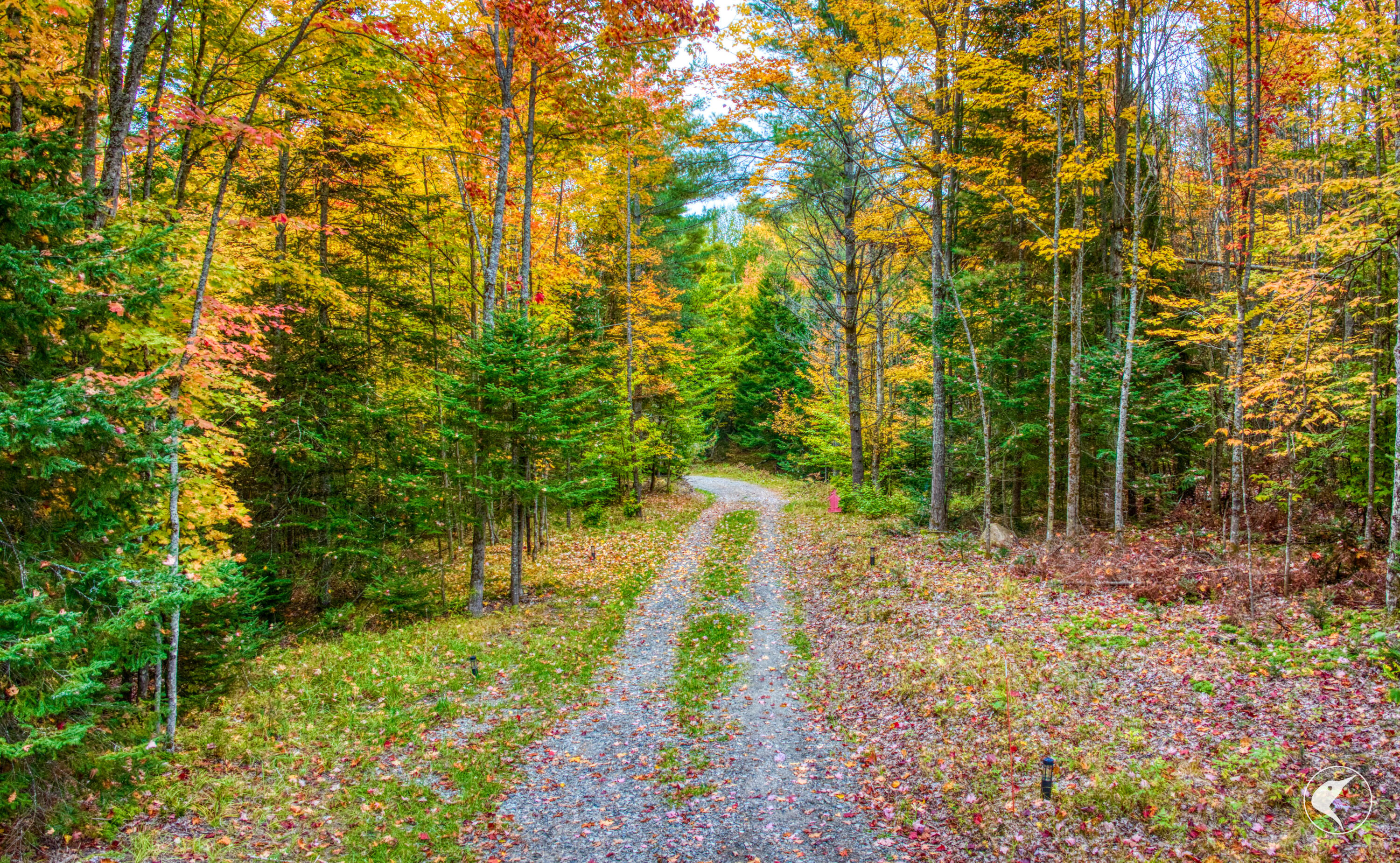 3692 County Route 26 Loon Lake NY 12989