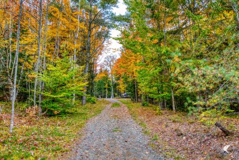 3692 County Route 26 Loon Lake NY 12989
