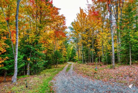 3692 County Route 26 Loon Lake NY 12989
