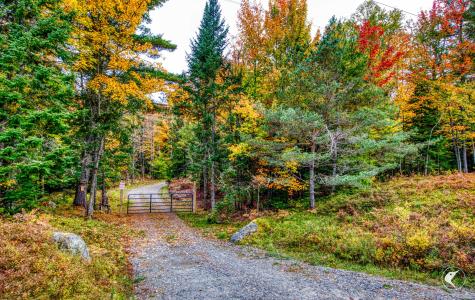 3692 County Route 26 Loon Lake NY 12989