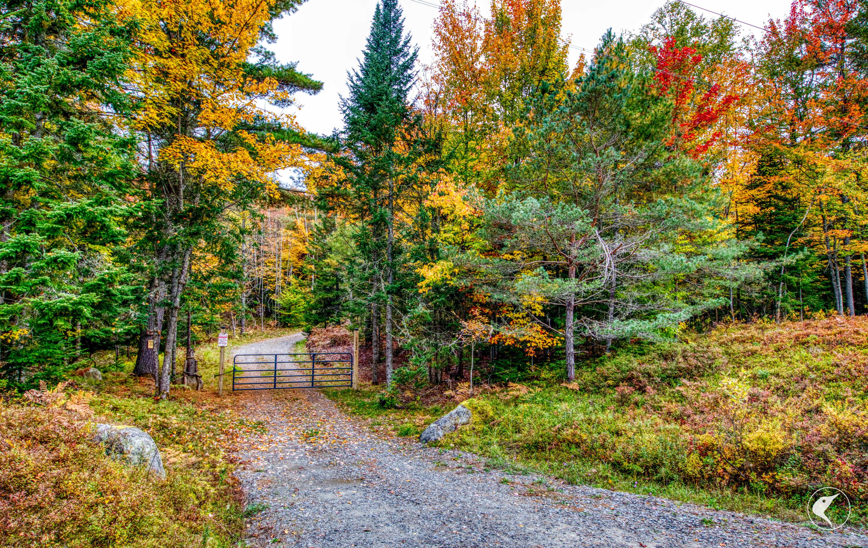 3692 County Route 26 Loon Lake NY 12989