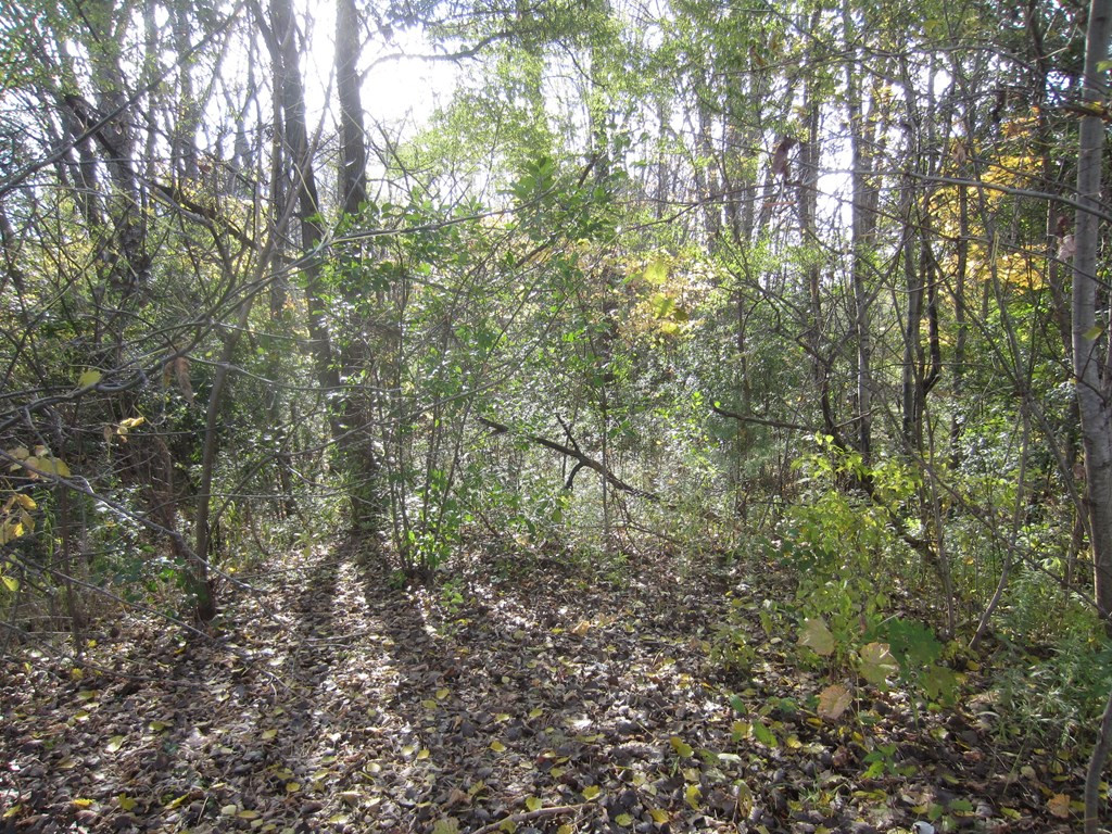 0 Benny Blake Road Plattsburgh NY 12901