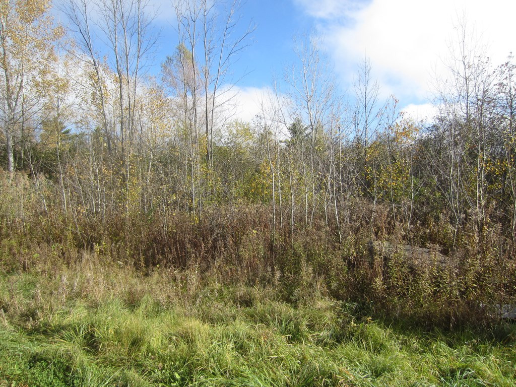 0 Benny Blake Road Plattsburgh NY 12901