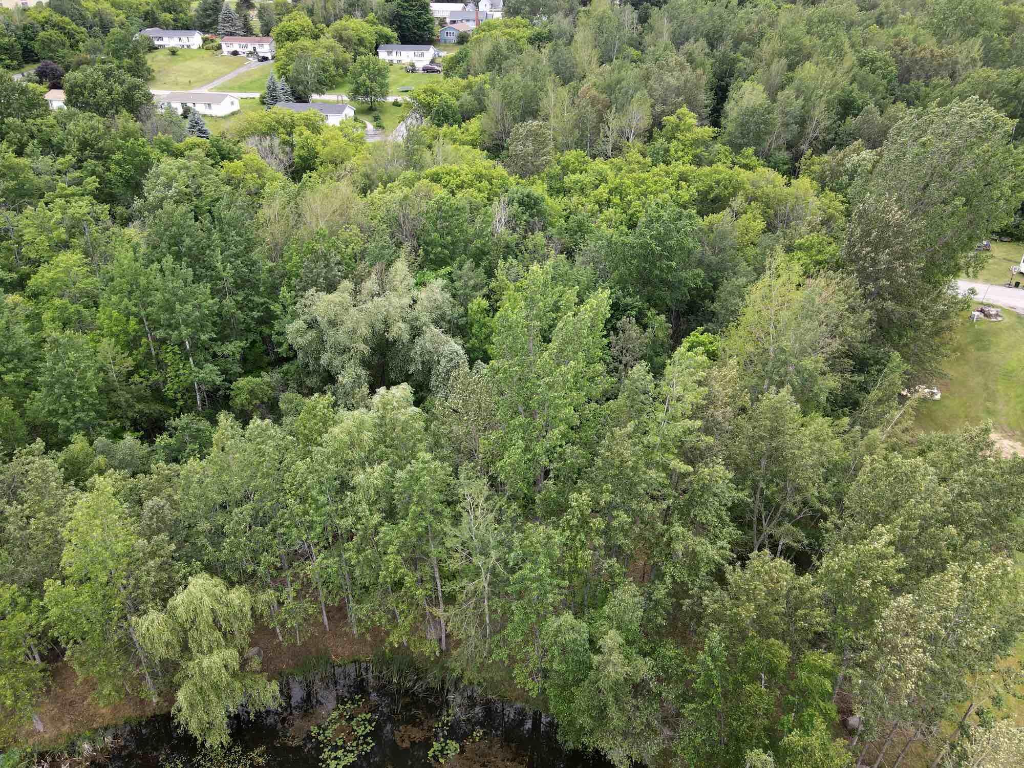 15 Clark Street Dannemora NY 12929