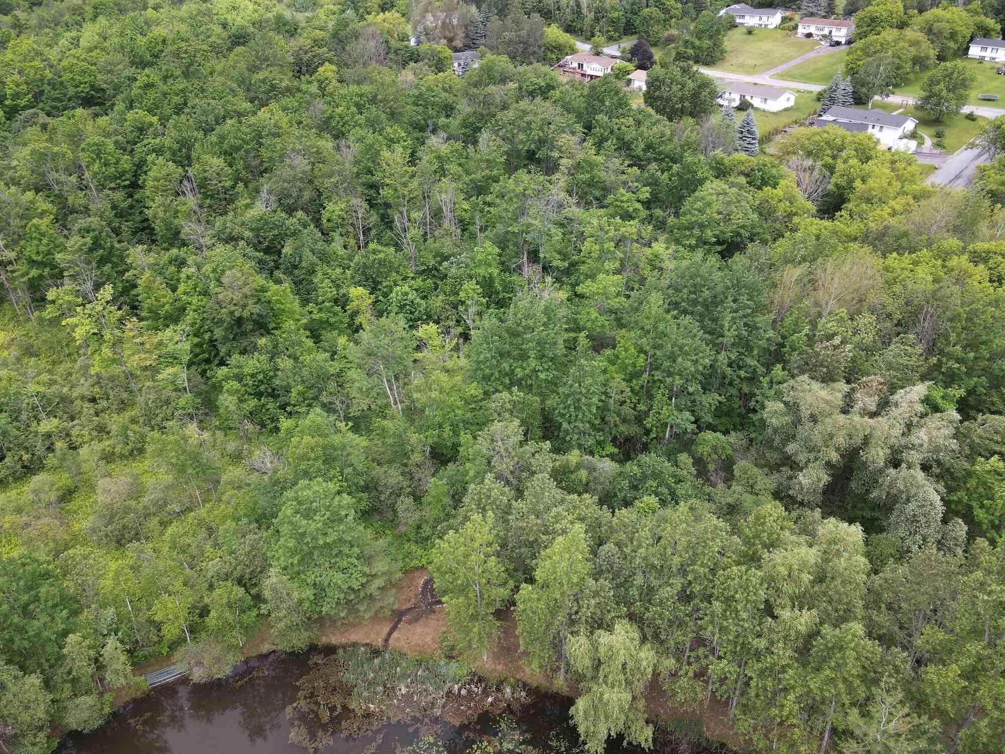 15 Clark Street Dannemora NY 12929