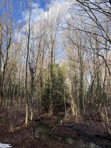 Lot #6 Commons Road Chateaugay NY 12920