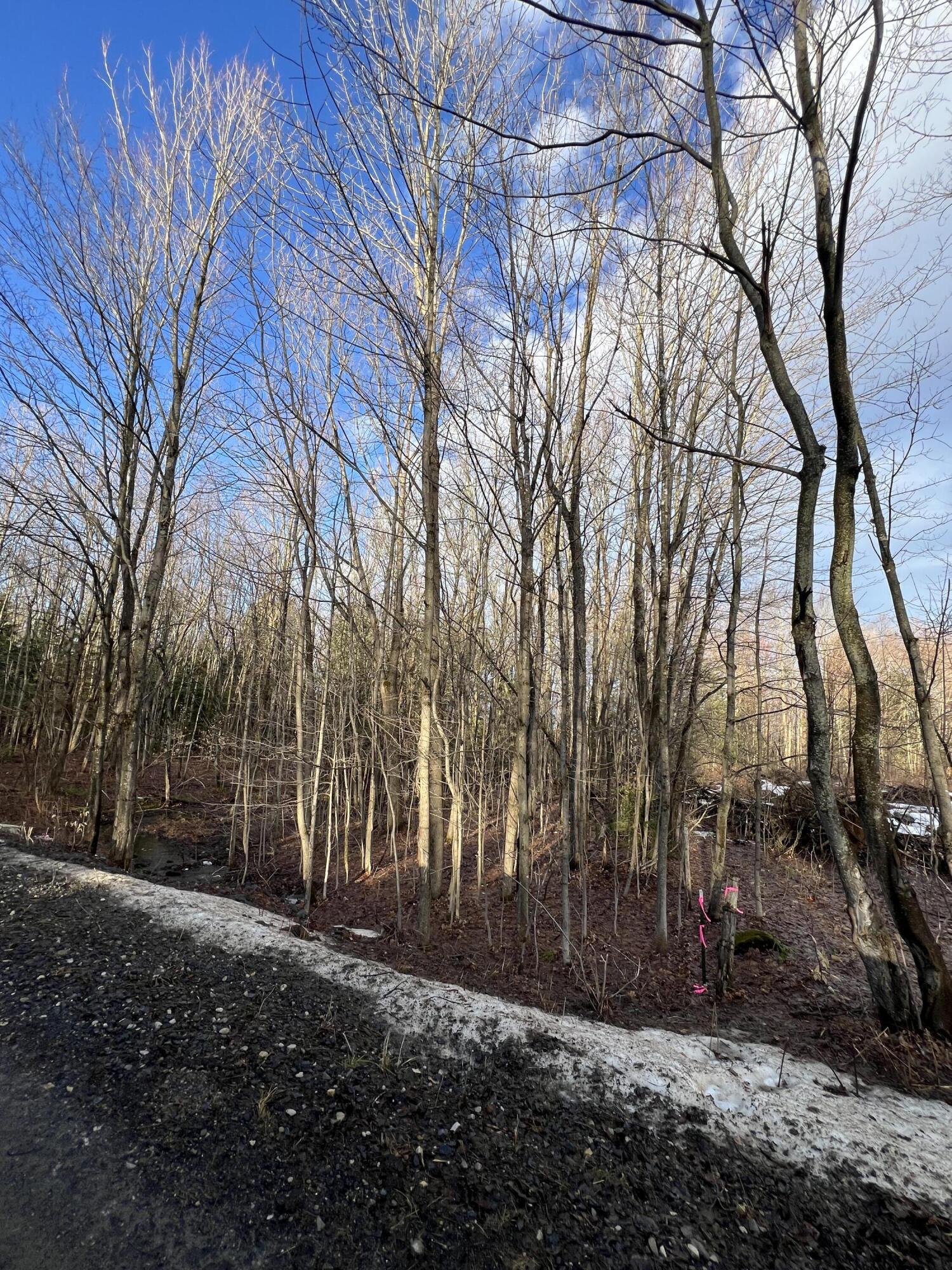 Lot #6 Commons Road Chateaugay NY 12920