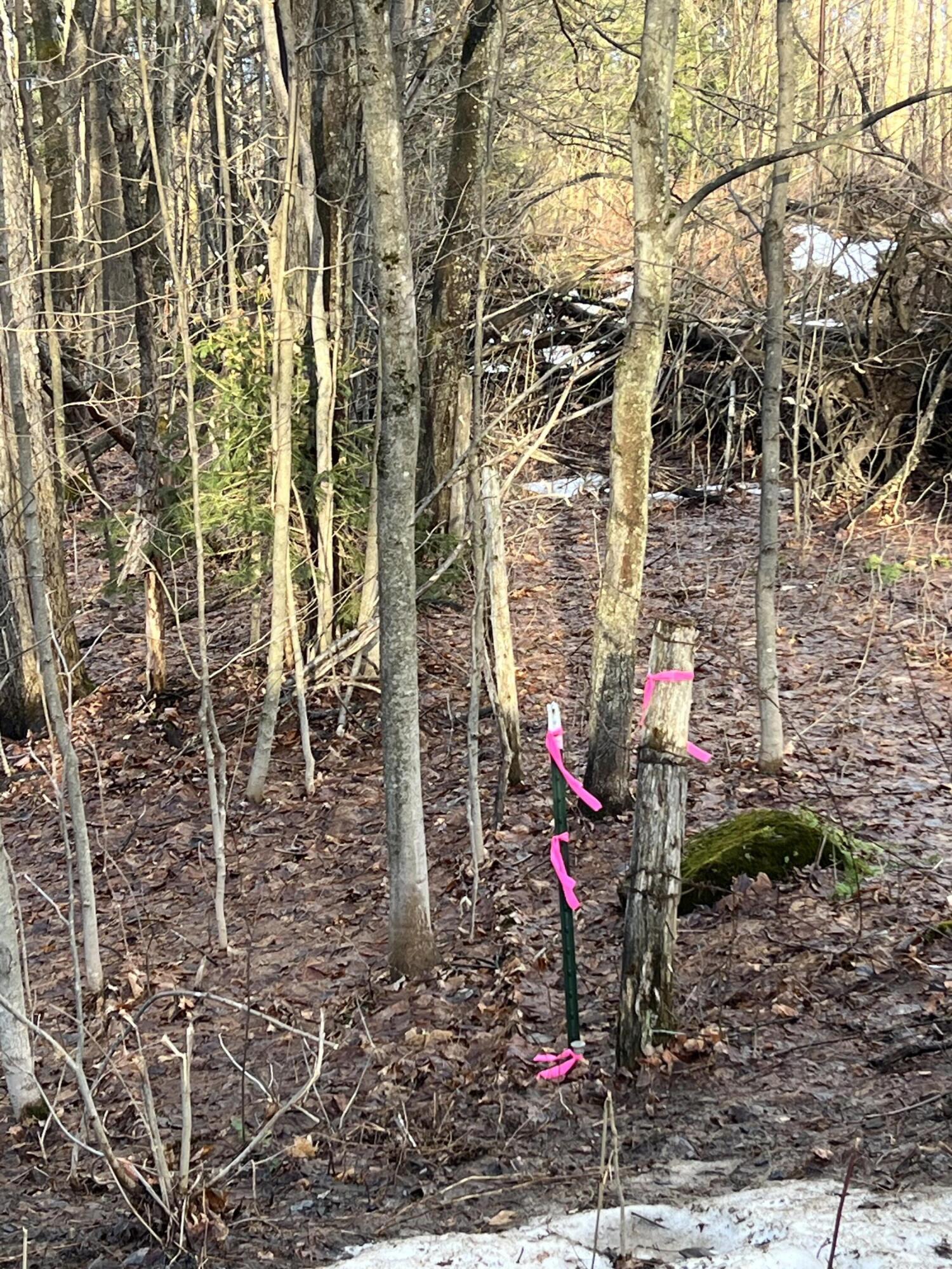 Lot #6 Commons Road Chateaugay NY 12920