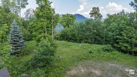 0 Panorama Drive Lot 14 Saranac Lake NY 12983