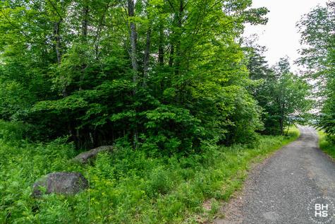 0 Panorama Drive Lot 14 Saranac Lake NY 12983