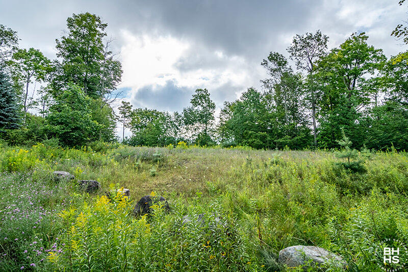 0 Panorama Drive Lot 14 Saranac Lake NY 12983