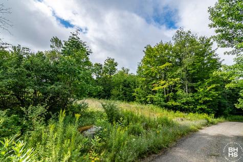 0 Panorama Drive Lot 14 Saranac Lake NY 12983