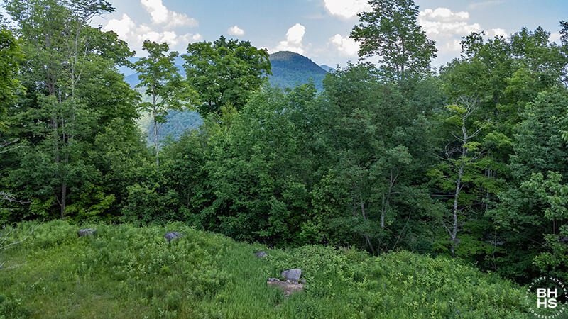 0 Panorama Drive Lot 14 Saranac Lake NY 12983
