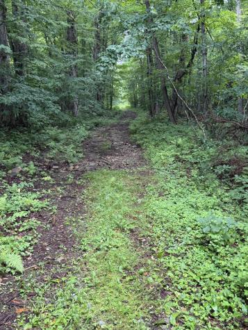 311 Dog Hill Road Keeseville NY 12944