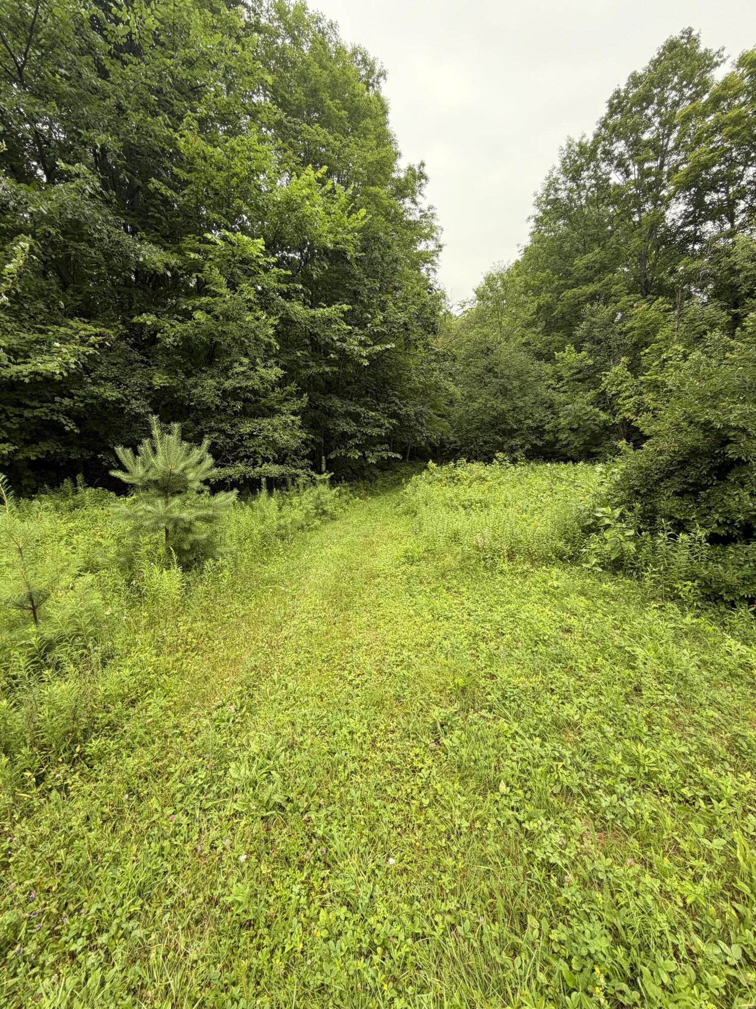 311 Dog Hill Road Keeseville NY 12944