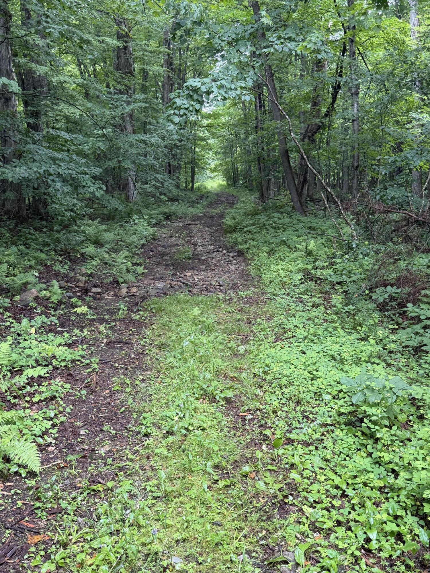 311 Dog Hill Road Keeseville NY 12944